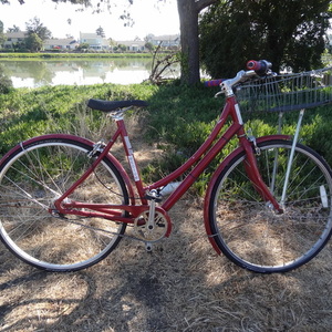 2012 Specialized Daily 1 Step-Through Red