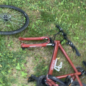 2019 Raleigh Route 2 Red