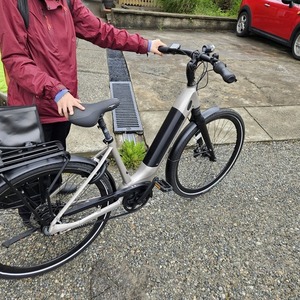 2022 Gazelle Ultimate C8 HMB Silver, gray or bare metal