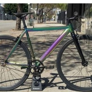 2020 Golden Cycles Golden cycle oil slick Silver, gray or bare metal, Blue, and Pink