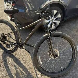 2021 Specialized Rockhopper Silver, gray or bare metal