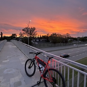Cannondale Trail Sl 5 Red