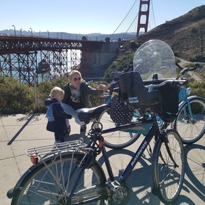 2016 Giant Step Through Blue