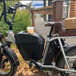 2021 Rad Power Bikes RadRunner Plus Silver, gray or bare metal