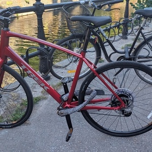 2026 Trek FX2 Red