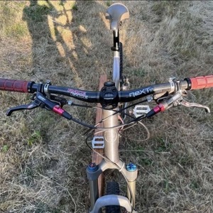 2011 Giant Trance X0 Silver, gray or bare metal