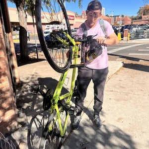2021 Trek 7.3 Yellow or Gold