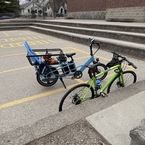 2025 Lectric eBikes Xpedition cargo bike rear Blue