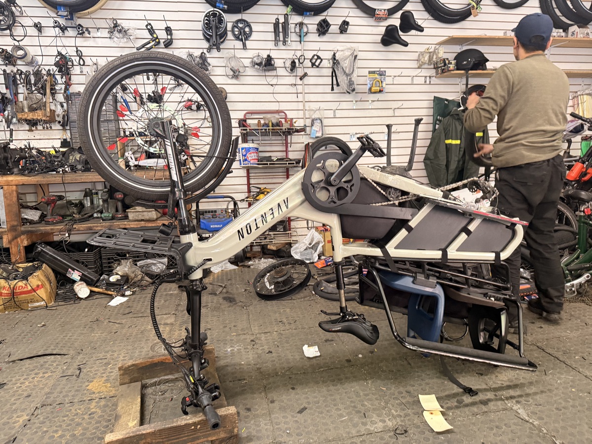 Cargo Bike Rear photo