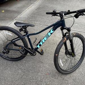 2022 Trek Marlin Silver, gray or bare metal