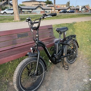 2025 Rad Power Bikes Black
