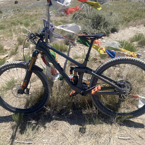2020 Transition Bikes Carbon Sentinel Ti Silver, gray or bare metal