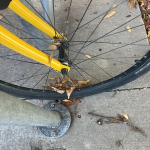Cannondale Comfort 400 Yellow or Gold