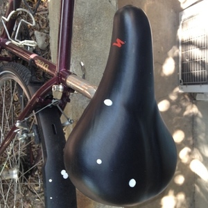 2011 Specialized Purple