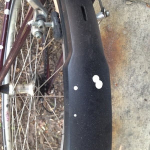 2011 Specialized Purple