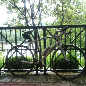 2010 Specialized Allez  White