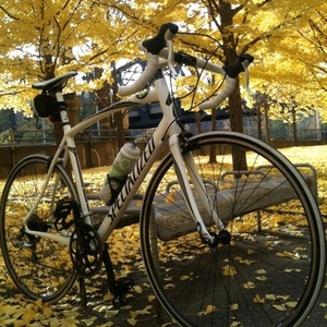 2010 Specialized Allez  White