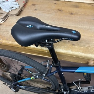 Specialized Ariel Blue and Teal