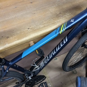 Specialized Ariel Blue and Teal