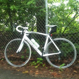 2010 Specialized Allez  White