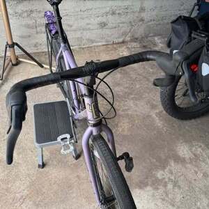 2025 Primos Dame Purple