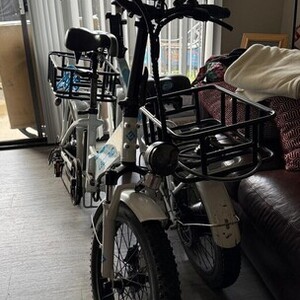 2023 Lectric eBikes XP 30 White and Blue