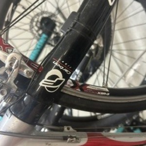 2002 Giant OCR 3 Silver, gray or bare metal