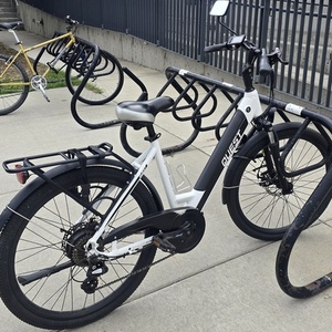 Quest Hub Electric 14 White and Black