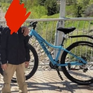 2017 Trek Trek Skye SL mountain bike Blue