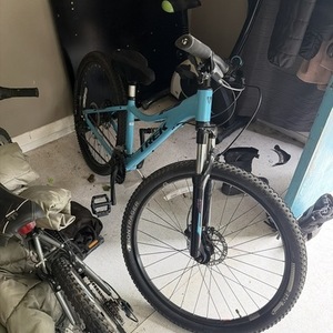 2017 Trek Trek Skye SL mountain bike Blue