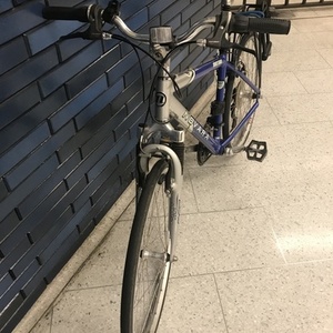 2018 Novara Metro Blue, Silver or Gray, and Black