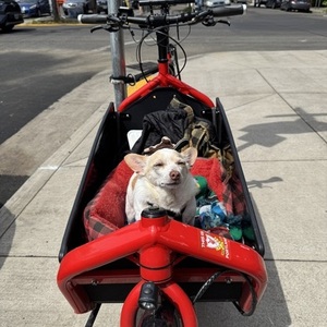 2018 Larry Vs Harry Bullitt cargo bike Red