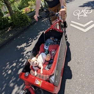 2018 Larry Vs Harry Bullitt cargo bike Red