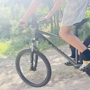 2026 Marin Bikes San Quentin Silver, gray or bare metal