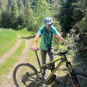 2015 Rocky Mountain Bicycles Altitude Silver, gray or bare metal