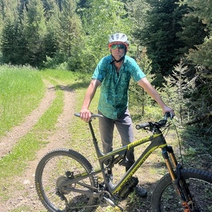 2015 Rocky Mountain Bicycles Altitude Silver, gray or bare metal