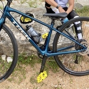 2022 Trek FX4 Sport Carbon Green