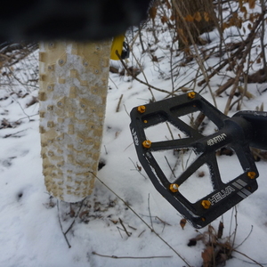 2016 Salsa Mukluk Yellow or Gold