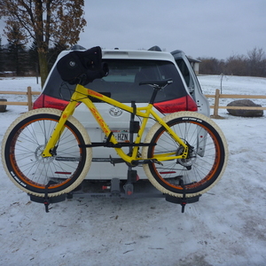 2016 Salsa Mukluk Yellow or Gold