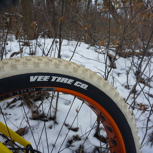 2016 Salsa Mukluk Yellow or Gold