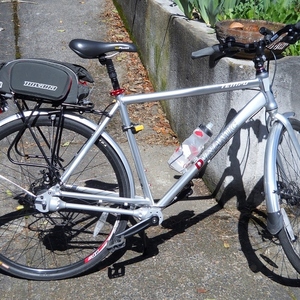 2013 Dynamic Tempo 8 21"  Silver or Gray