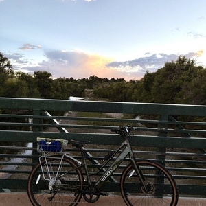 Velotric Tempo Green