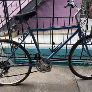 1986 Schwinn Mirada Blue