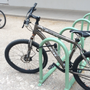 Trek 4 series  Yellow or Gold