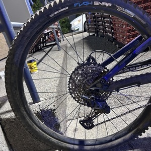 Polygon Siskiu T8 Purple and Blue