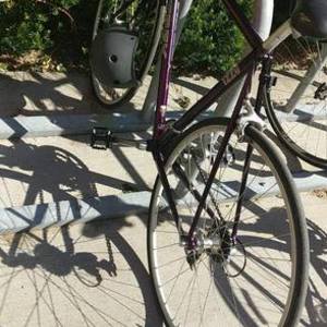 Trek 1220 Purple