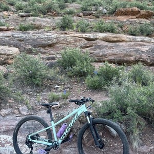 2021 Specialized Rockhopper Comp 29 Teal and Black