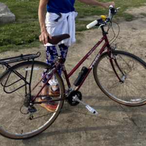 Trek 720 Red