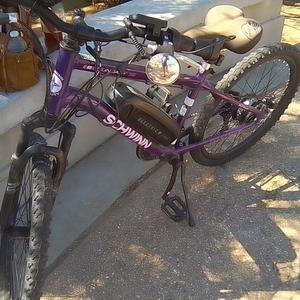 Schwinn S753WM Purple