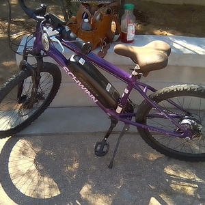 Schwinn S753WM Purple